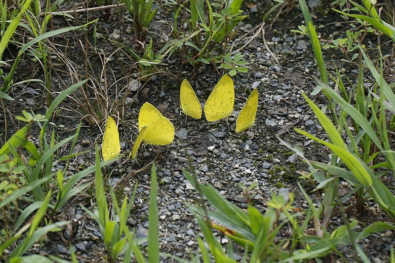 b0088772_13510788.jpg