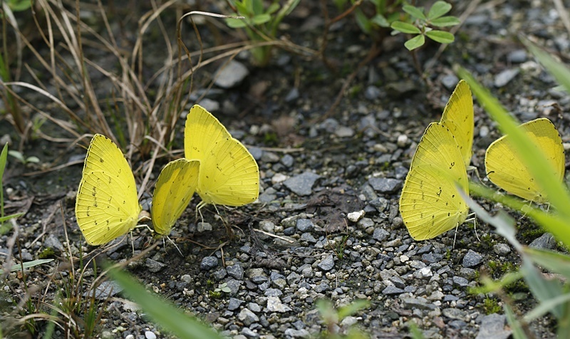 b0088772_13511560.jpg
