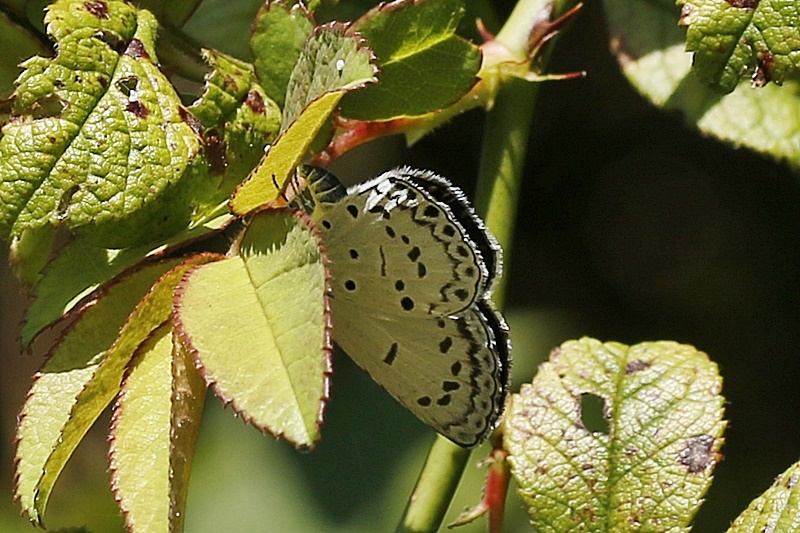 b0088772_18064900.jpg