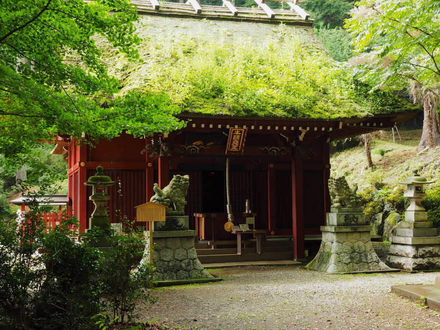 a0049978_00105190.jpg