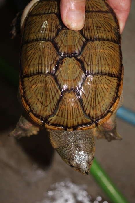 e0018082_22250412.jpg