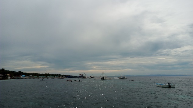 a0109187_12185833.jpg