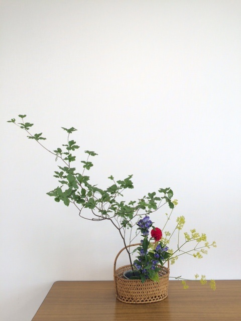 d0073487_2014419.jpg