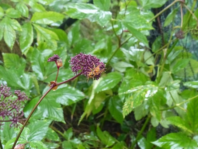 f0357487_20204583.jpg