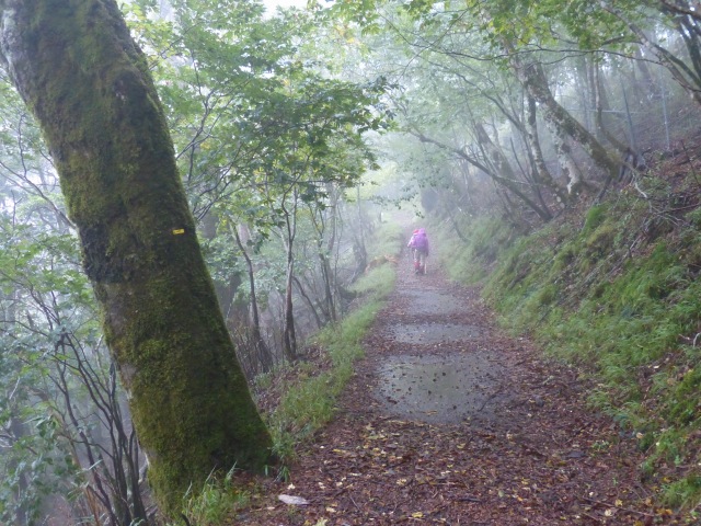 f0357487_2024057.jpg