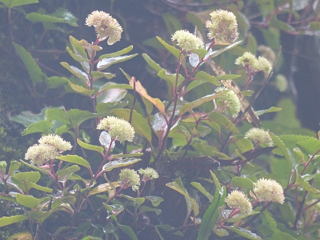 f0357487_2031213.jpg