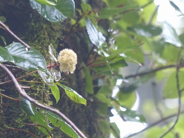 f0357487_2043216.jpg
