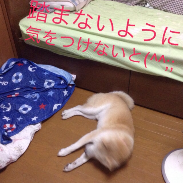 c0123890_1931353.jpg