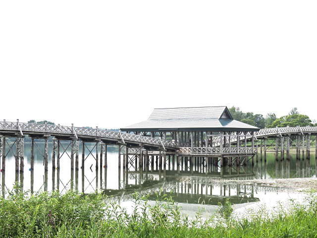 f0346196_15253511.jpg