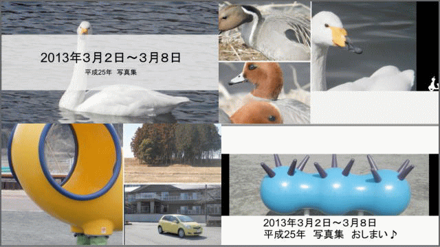 a0043204_7191229.gif