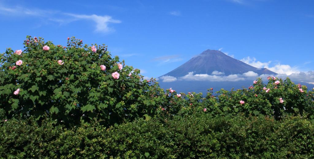a0188405_19370765.jpg