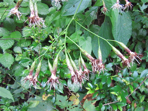 a0164011_2211127.jpg