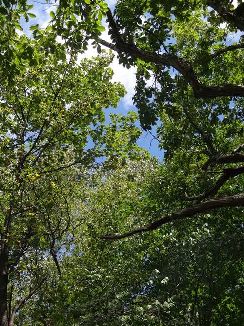 c0279611_16234692.jpg