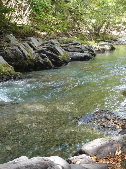 c0279611_16373058.jpg