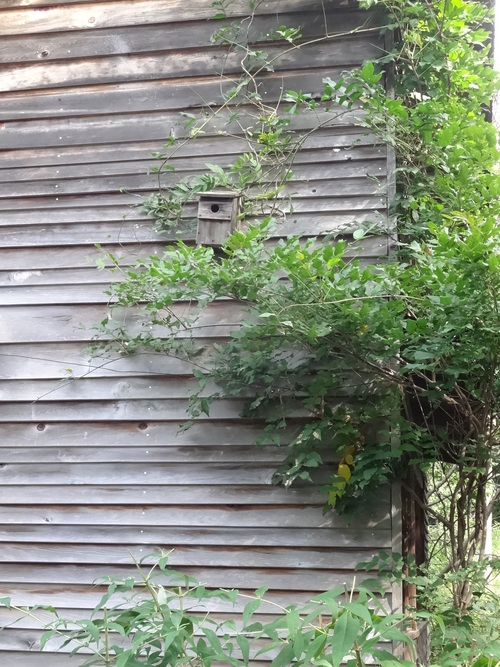 c0279611_16541292.jpg