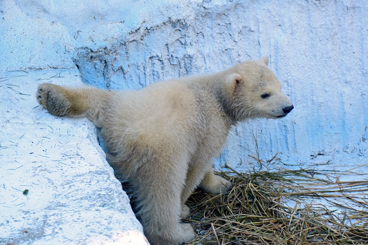 a0151913_2326252.jpg
