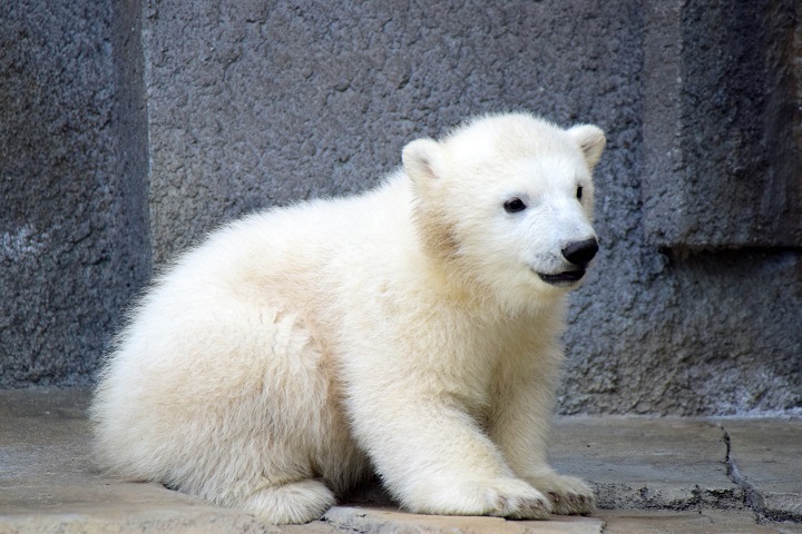 a0151913_2339994.jpg