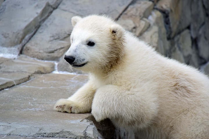 a0151913_23433290.jpg