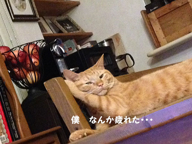 e0195115_16483523.jpg