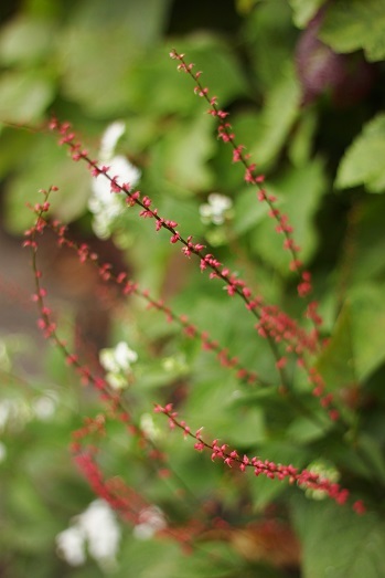 a0061023_05522381.jpg