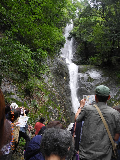 b0110028_1636874.jpg