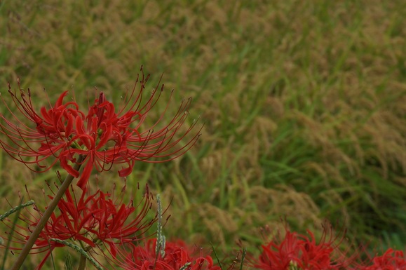 b0243152_20323642.jpg