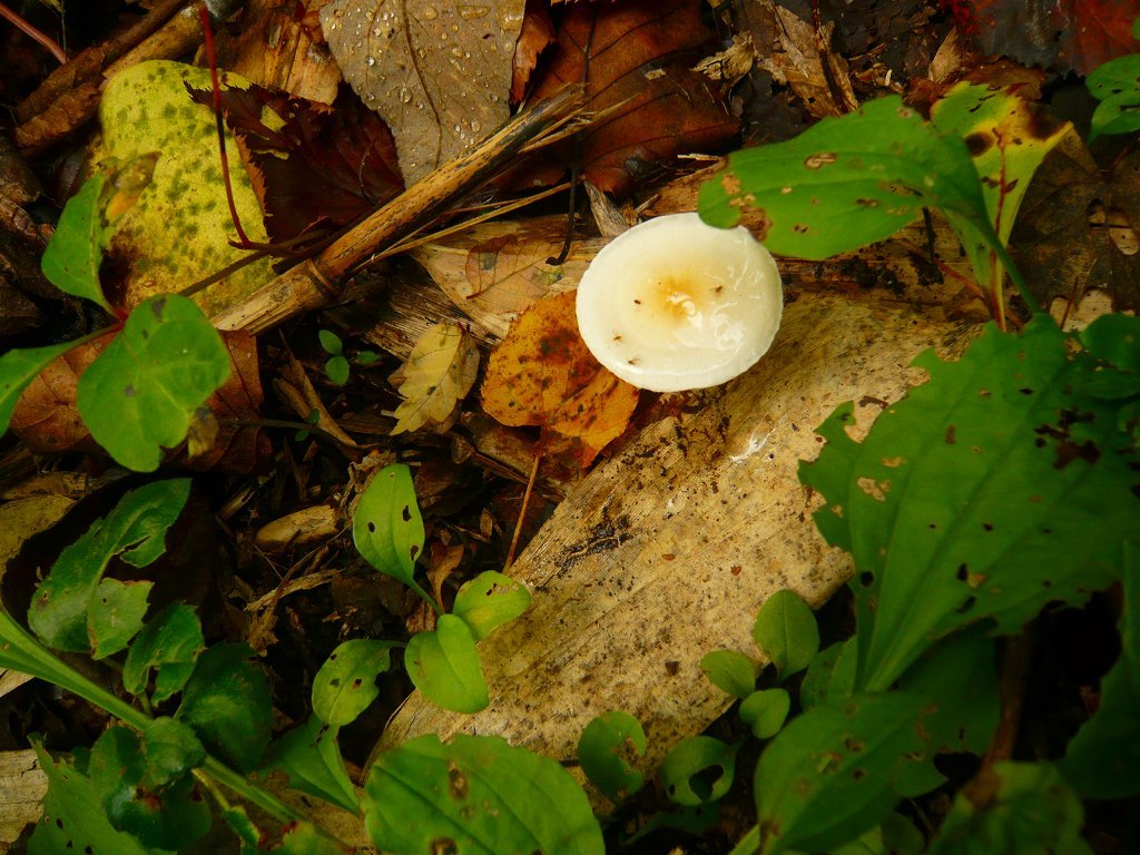 e0122168_20052090.jpg