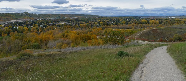 d0193569_8573978.jpg