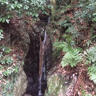 f0231785_11374524.jpg