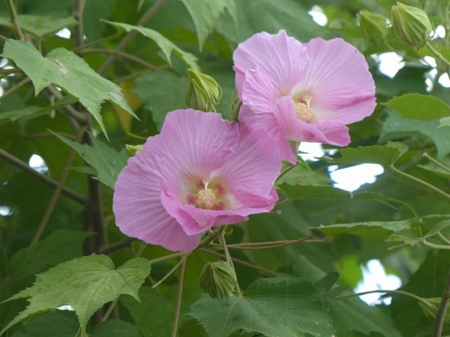 f0357487_2213929.jpg