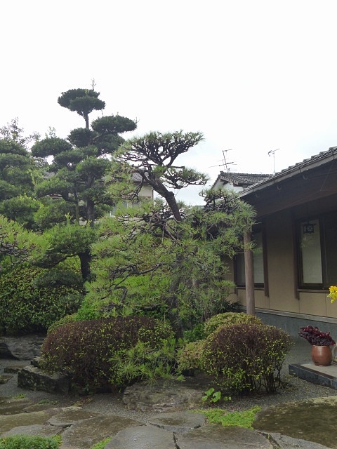 f0357487_22224210.jpg