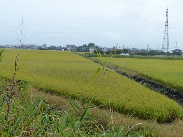 f0357487_229386.jpg
