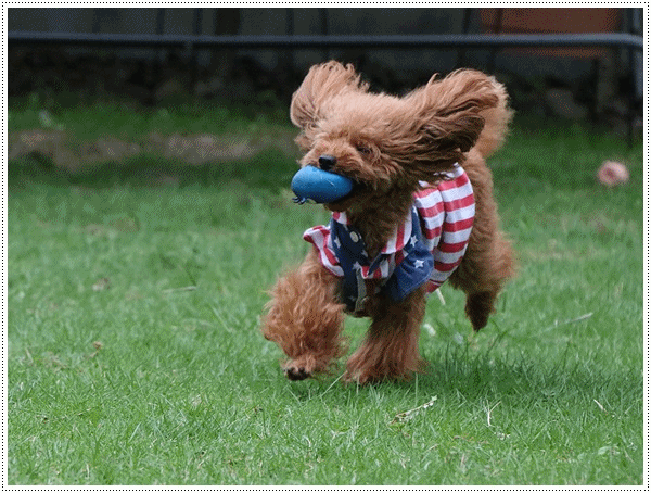 b0175688_23403300.gif