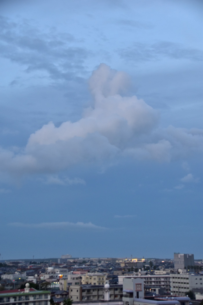 c0049299_22454524.jpg
