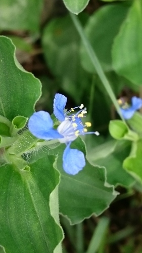 e0351303_12150992.jpg