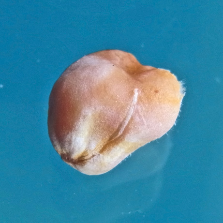c0190915_1524991.jpg