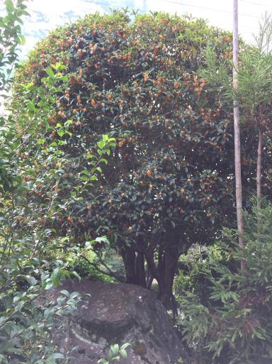 c0223630_23410804.jpg