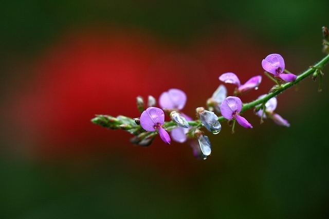 a0242438_21215597.jpg