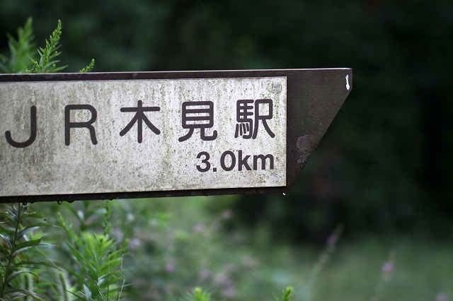 a0242438_21244328.jpg