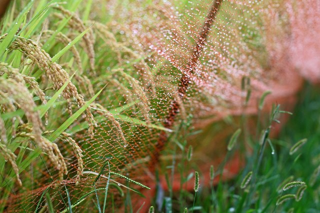 a0242438_21245496.jpg