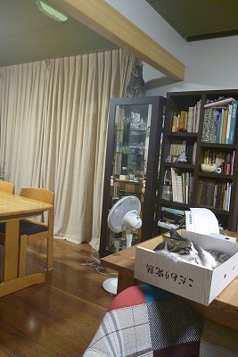 b0323439_22571961.jpg