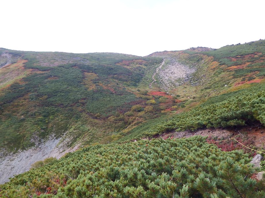b0187142_2041690.jpg