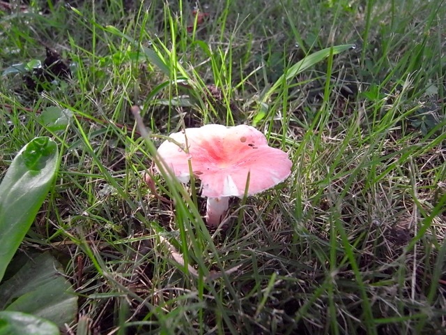 d0350542_22215147.jpg