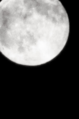 c0095644_06031434.jpg