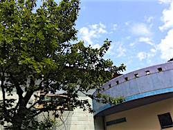 b0117348_1625101.jpg