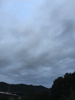 f0368662_11474621.jpg