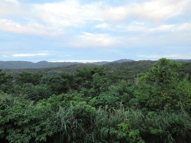f0215179_817454.jpg