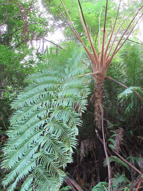 f0215179_8193783.jpg