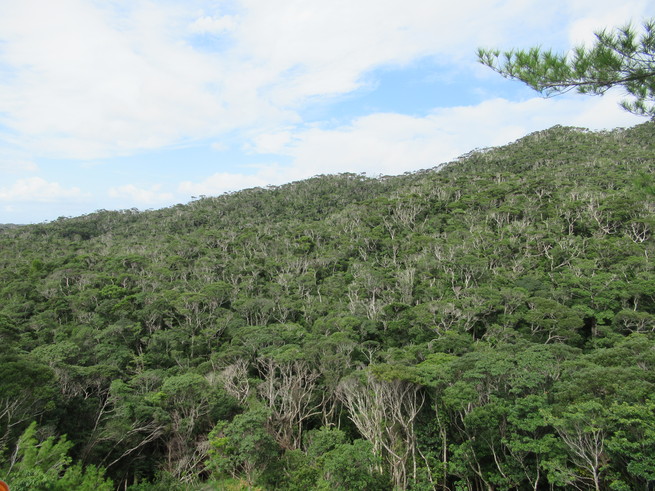 f0215179_823111.jpg