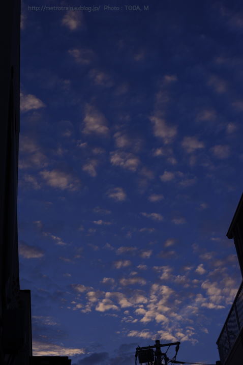 b0102780_22513897.jpg